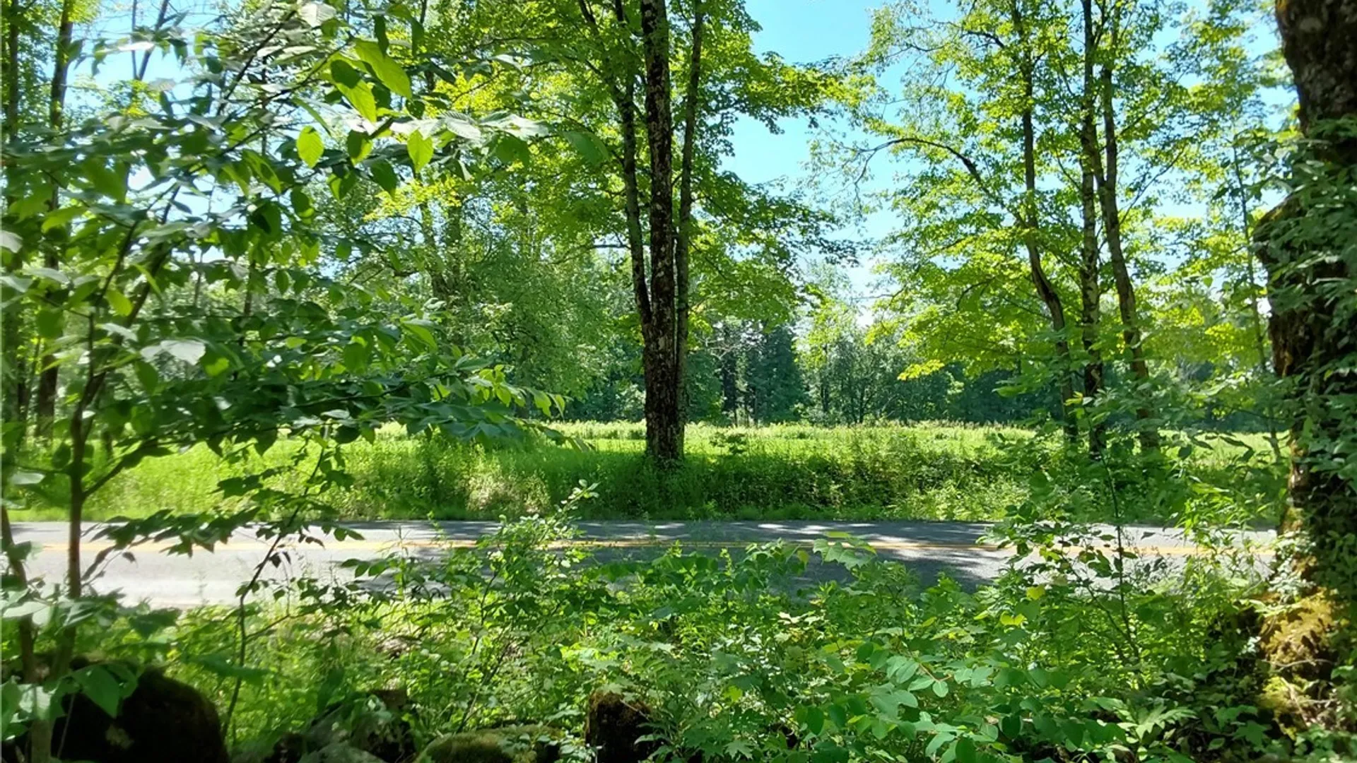 Property at 1273 Newport Gray Road Road, Norway, NY 13416 28