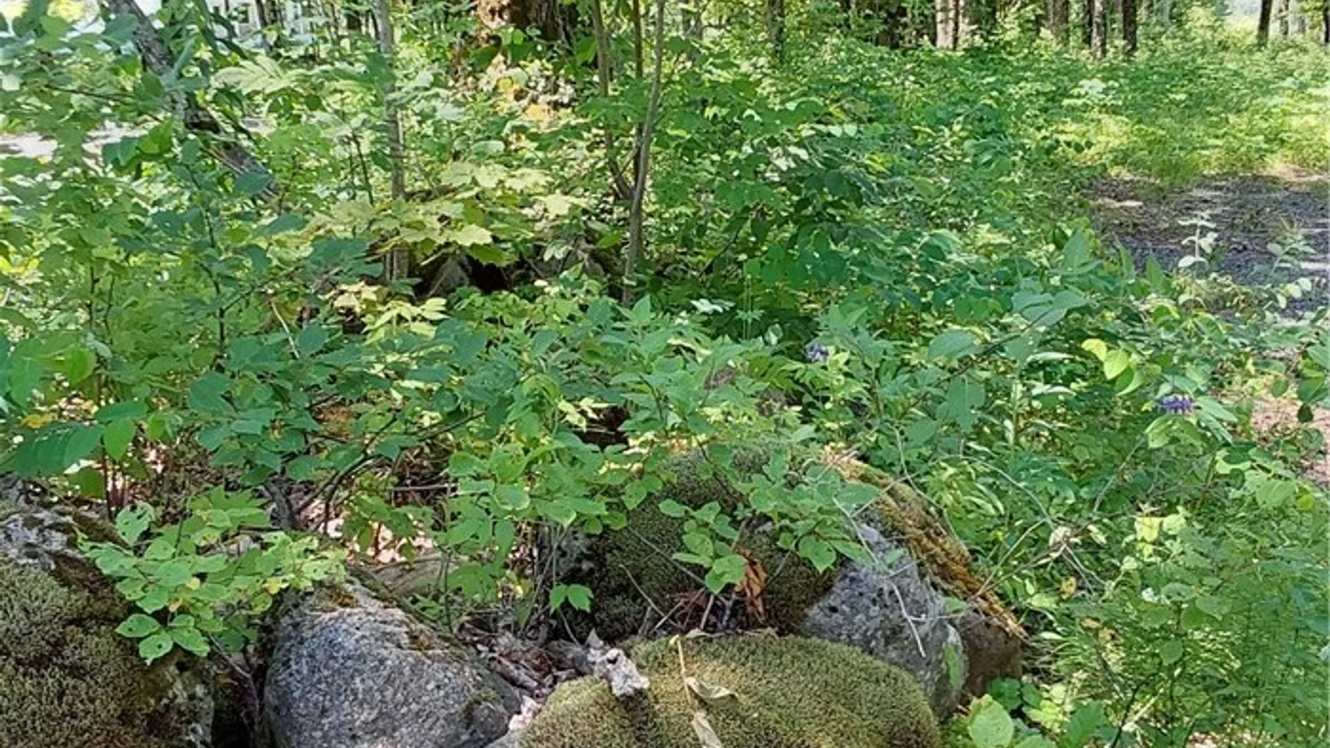 Property at 1273 Newport Gray Road Road, Norway, NY 13416 30