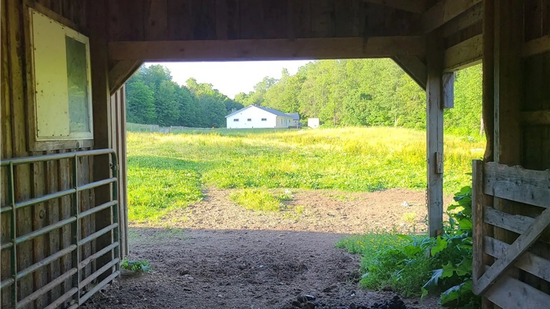 Property at 8143 Route 474, Clymer, NY 14724 16