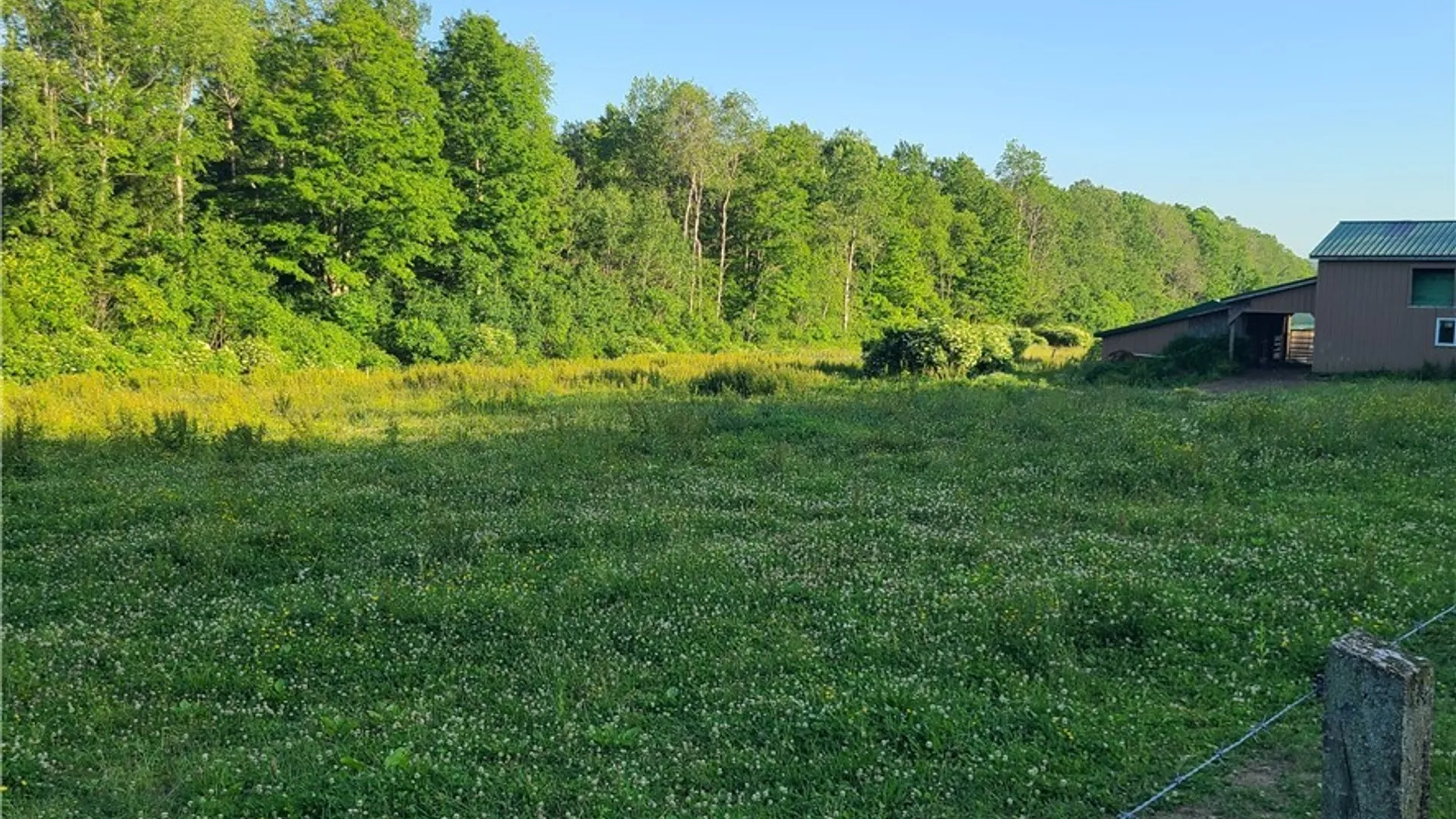 Property at 8143 Route 474, Clymer, NY 14724 4