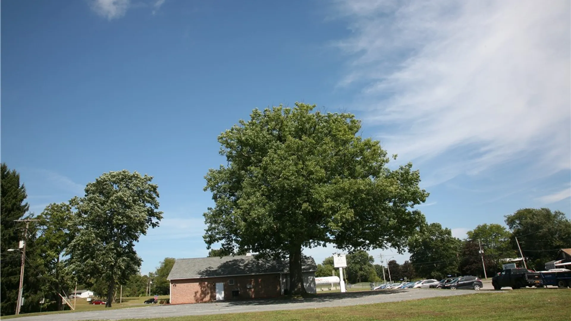 Property at 100 Henry Street, Sayre Boro, PA 18840 50