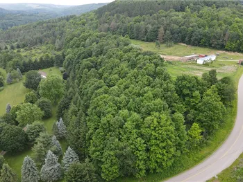 Property at 0 Hornell Reservoir Road, Fremont, NY 14843