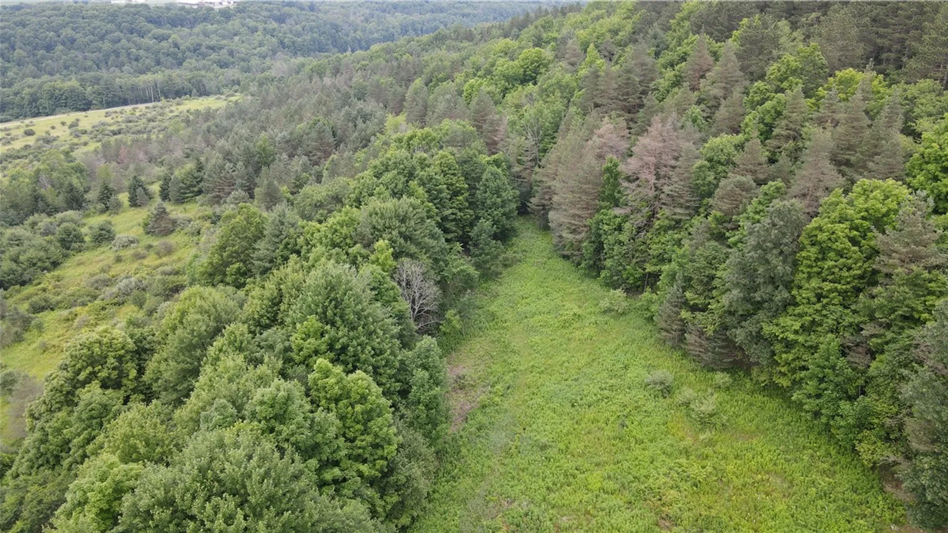 Property at 0 Hornell Reservoir Road, Fremont, NY 14843 2