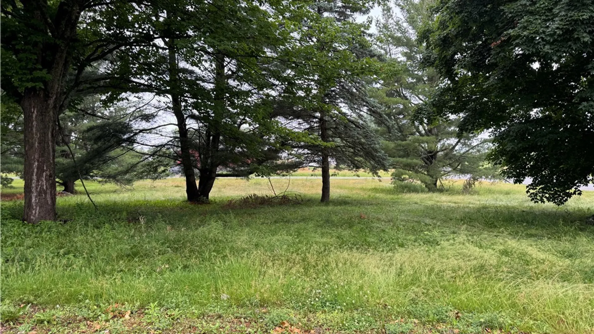 Property at 46151 Olney Road, Alexandria, NY 13679 5