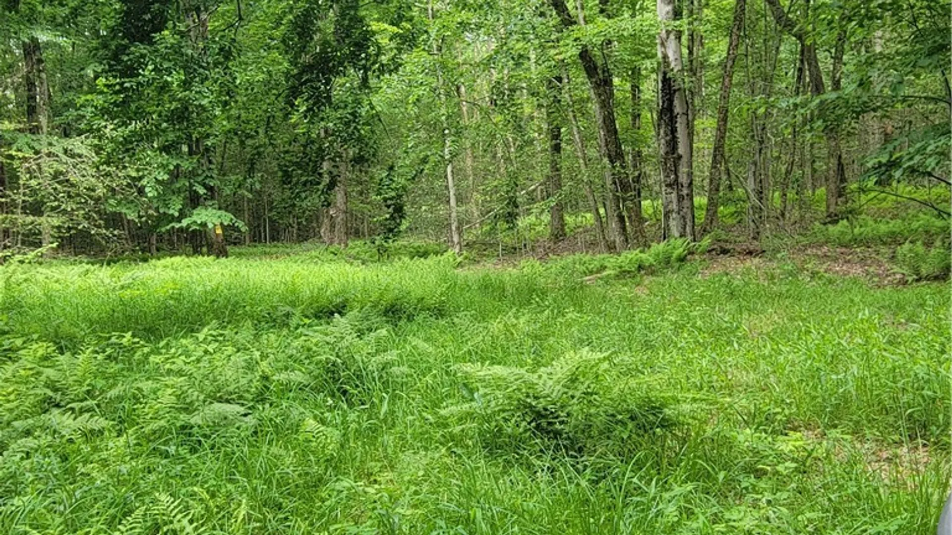 Property at Keppy Carr Road, Amboy, NY 13493 12