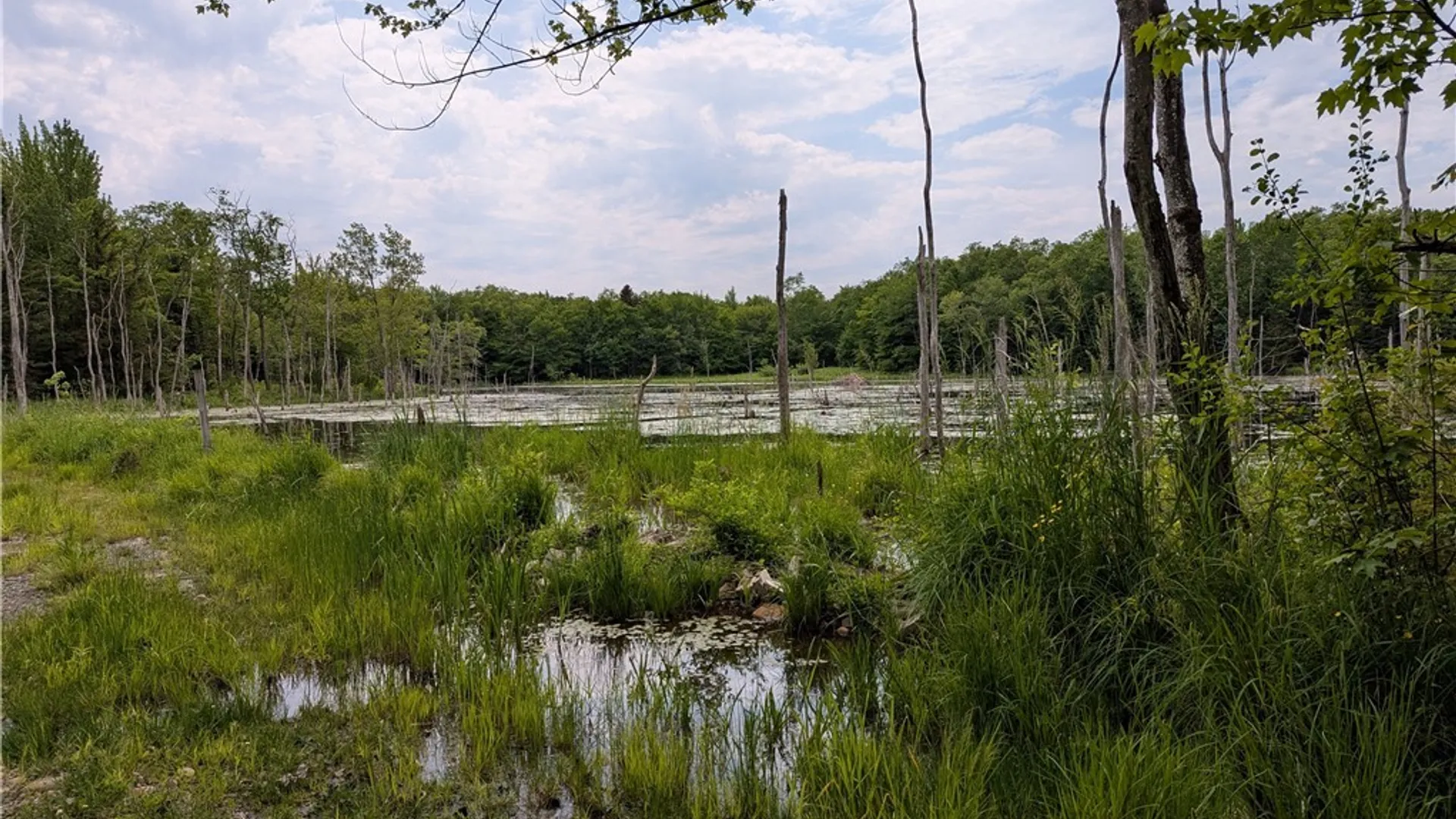 Property at 5696 Neff Road, Leyden, NY 13325 17