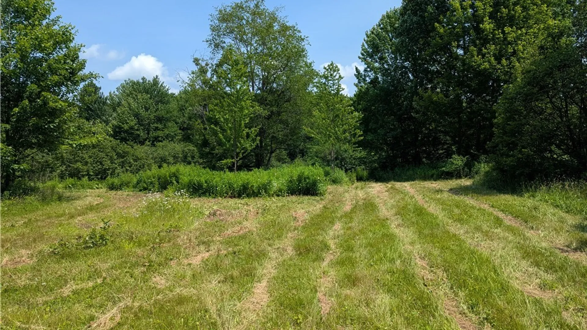 Property at 5696 Neff Road, Leyden, NY 13325 23