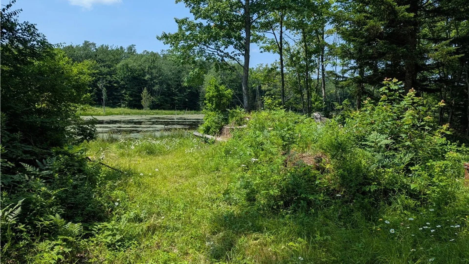 Property at 5696 Neff Road, Leyden, NY 13325 25
