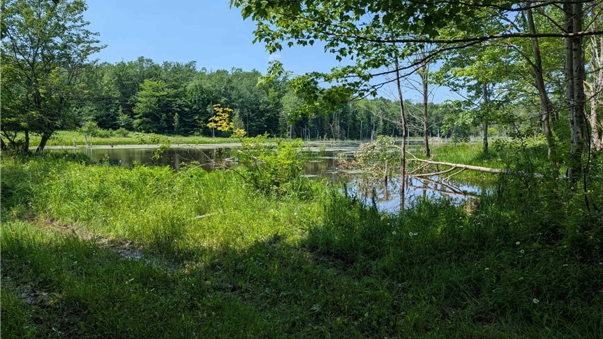 Property at 5696 Neff Road, Leyden, NY 13325 27