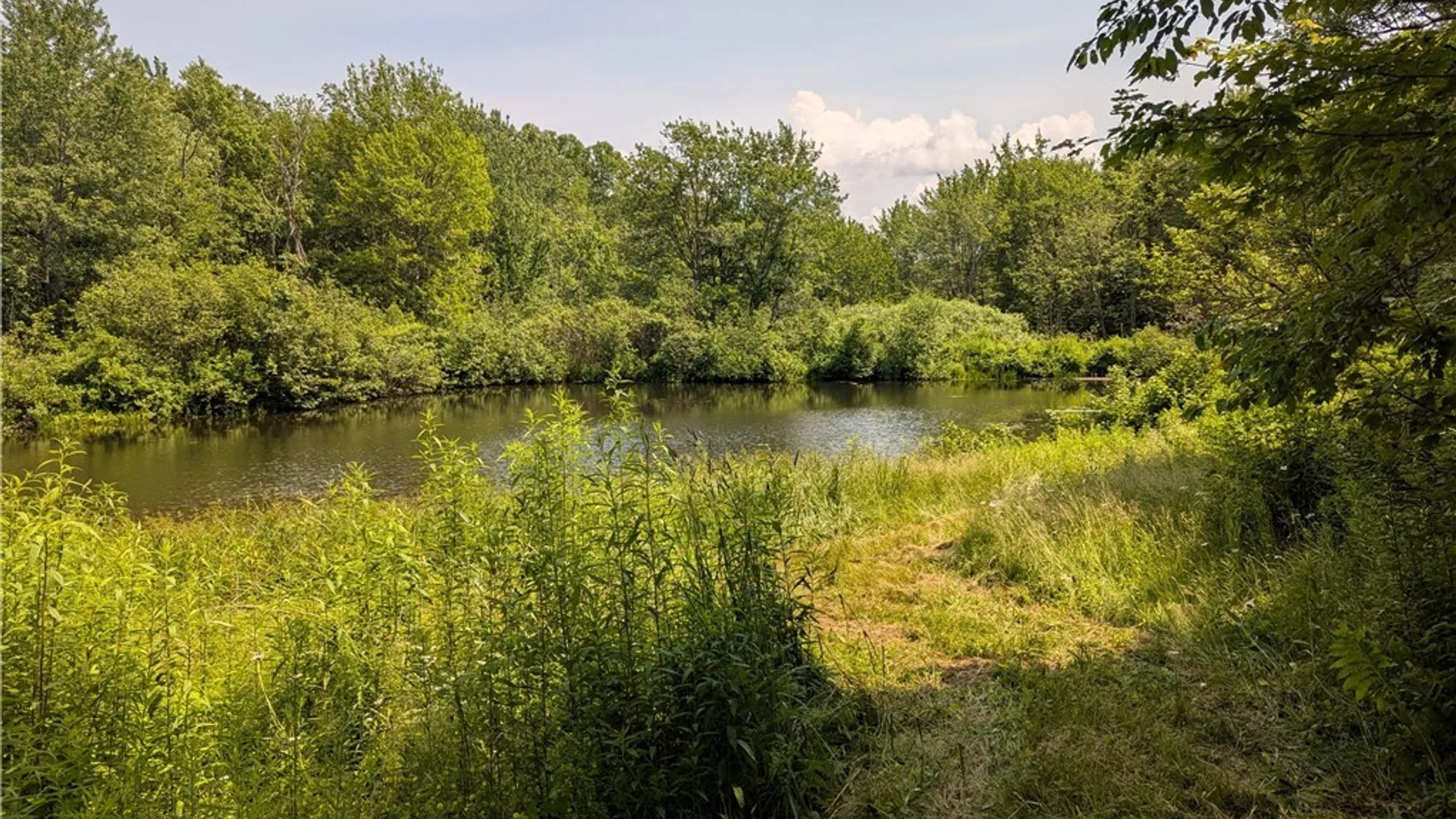 Property at 5696 Neff Road, Leyden, NY 13325 28