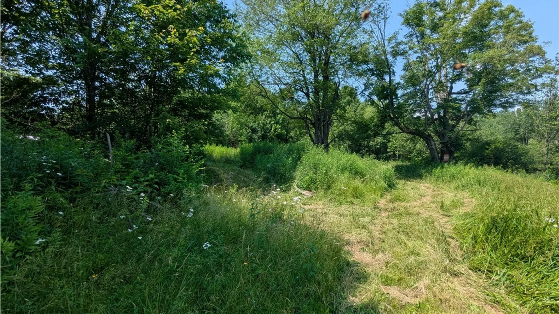 Property at 5696 Neff Road, Leyden, NY 13325 31