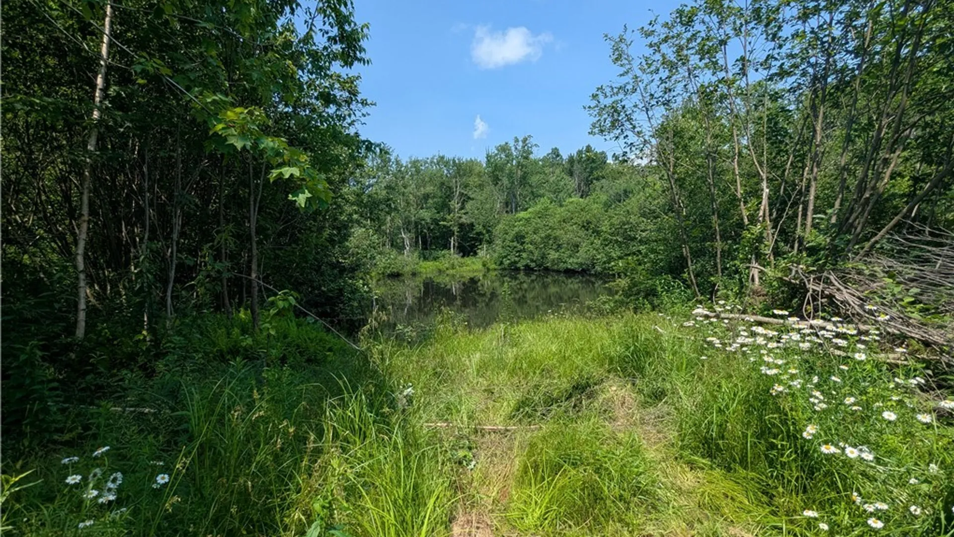 Property at 5696 Neff Road, Leyden, NY 13325 32