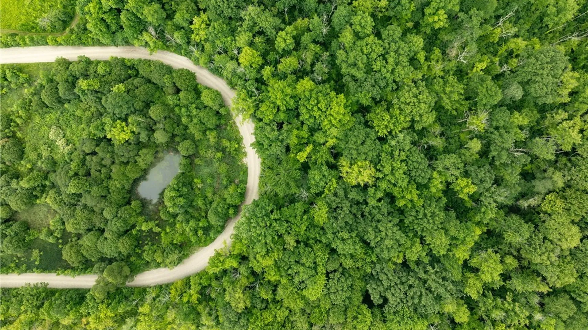 Property at 7452 Southwestern Boulevard, Evans, NY 14047 37