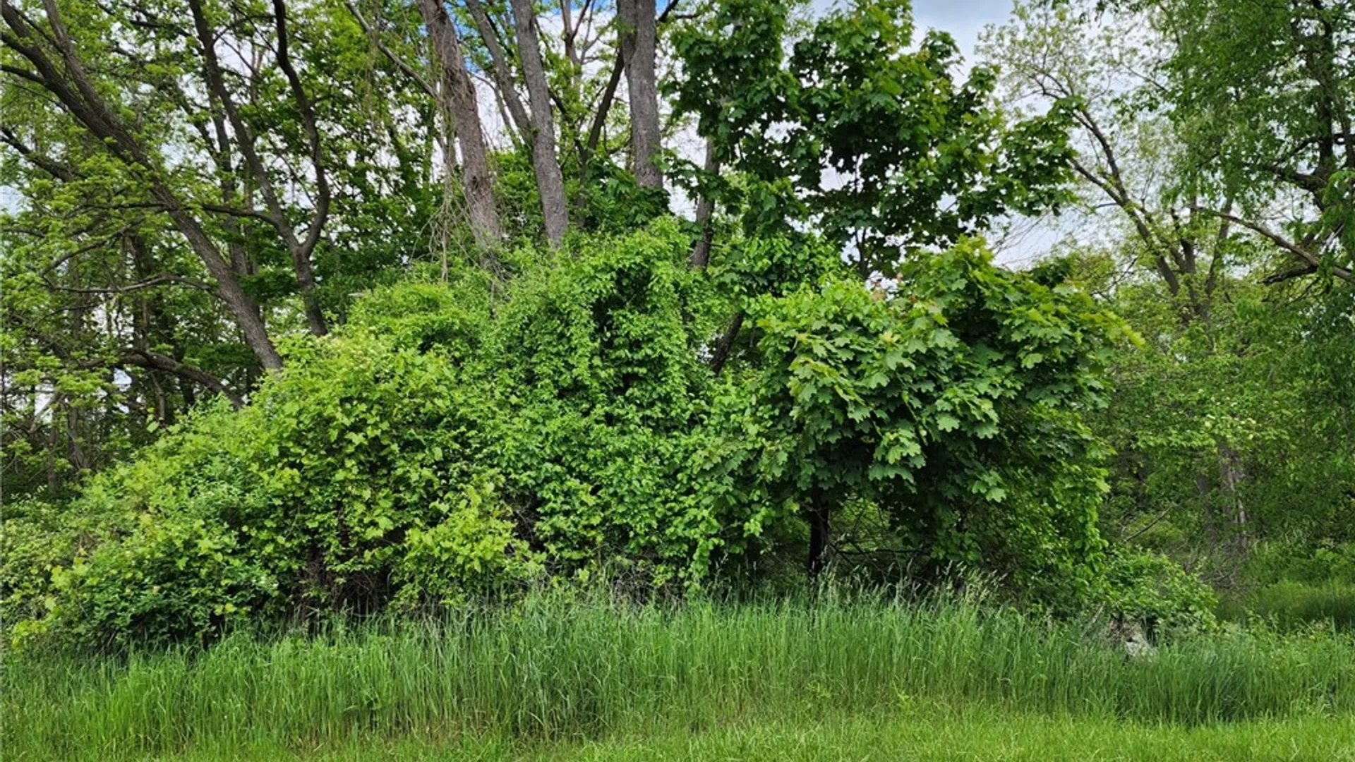 Property at 4 Concord Street, Sidney, NY 13838 2