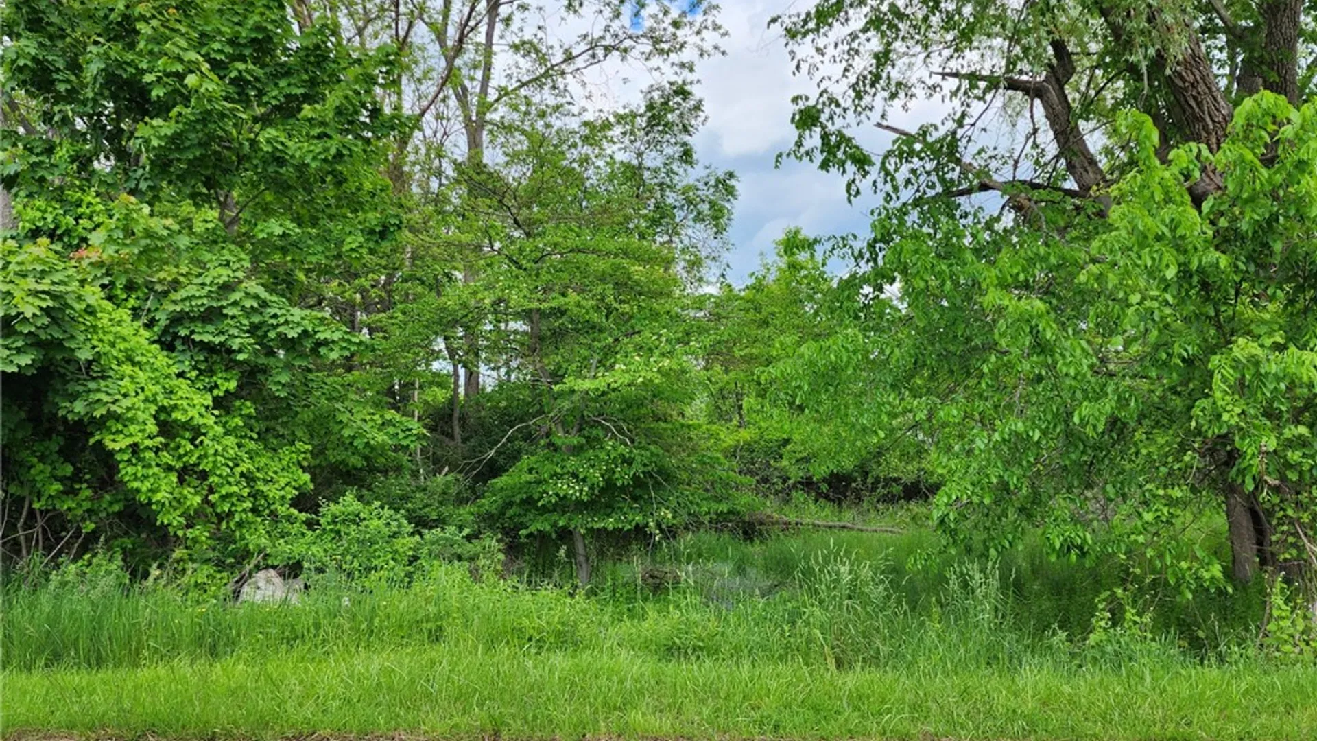 Property at 4 Concord Street, Sidney, NY 13838 4