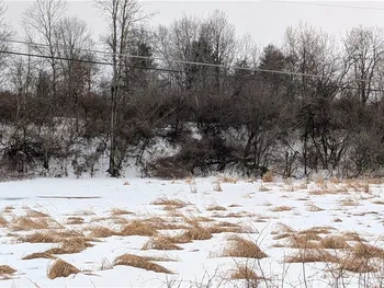 Property at Algerine Street, Afton, NY 13730