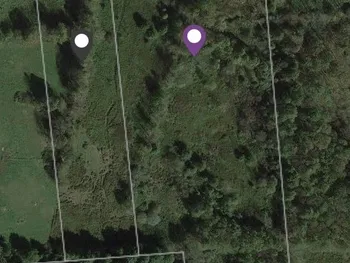 Property at 236 Burrows Road, Unadilla, NY 13849