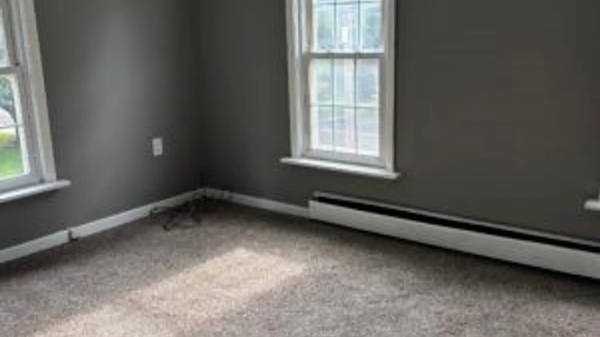 Property at 309 Main Street, Manlius, NY 13116 11