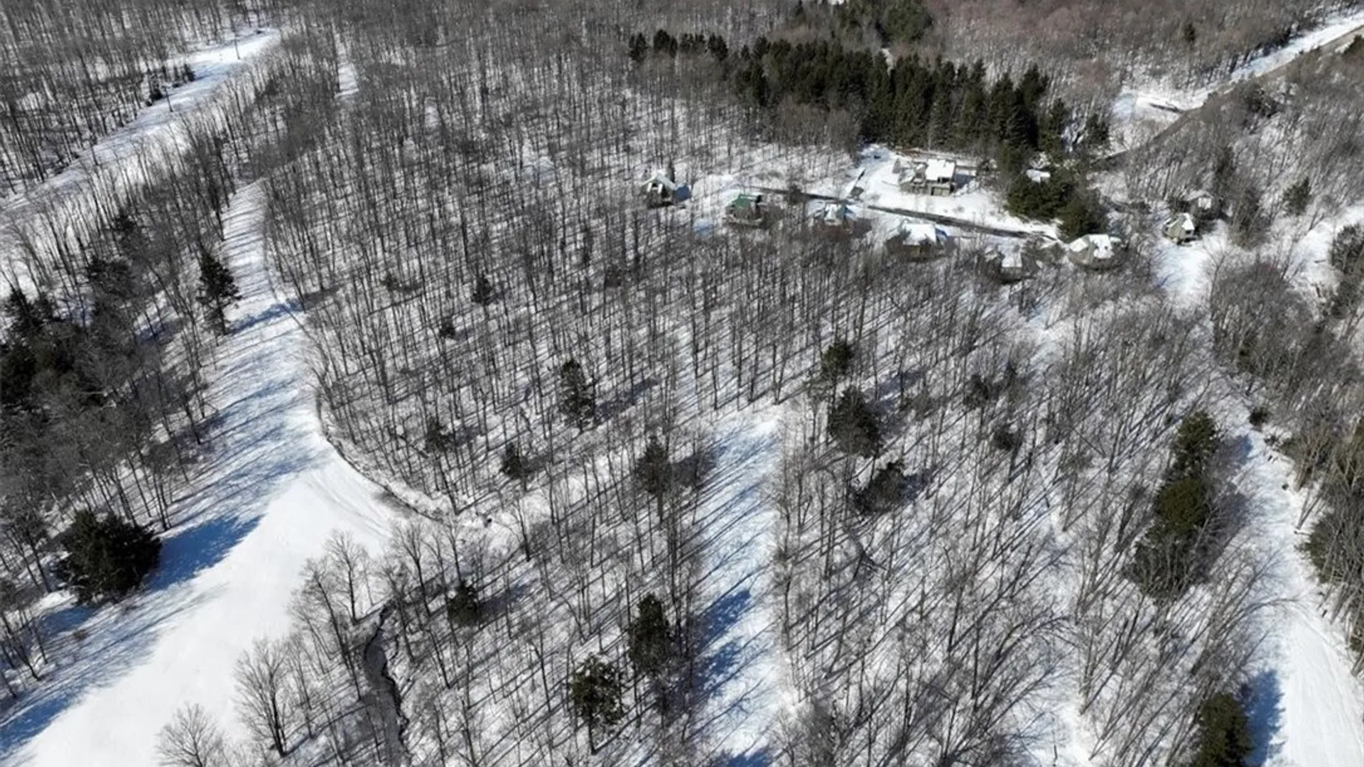 Property at 8820 Abbott Hill Road, Concord, NY 14025 10