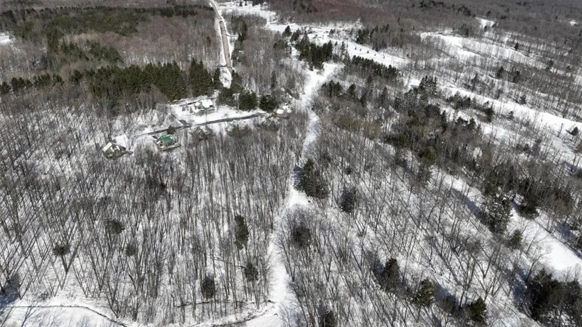 Property at 8820 Abbott Hill Road, Concord, NY 14025 11