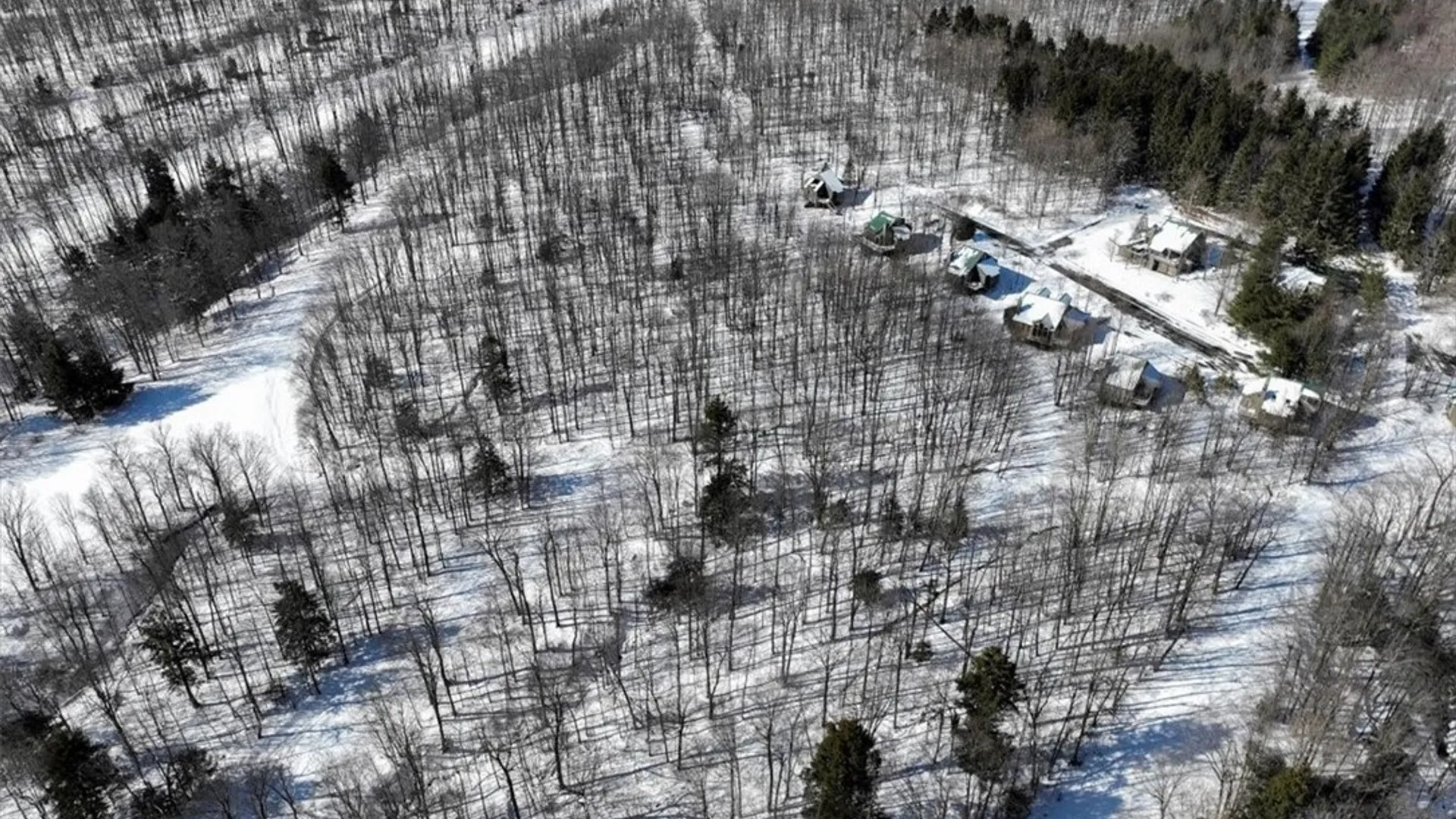 Property at 8820 Abbott Hill Road, Concord, NY 14025 12