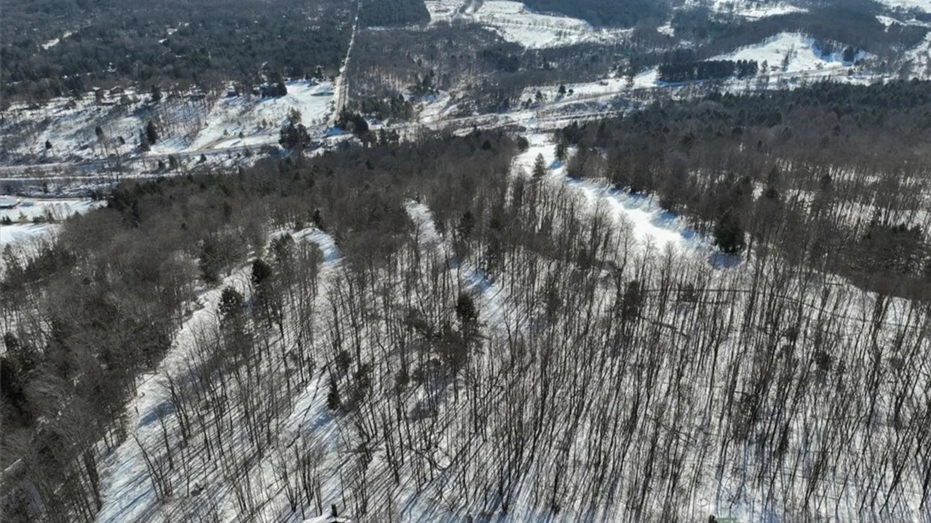 Property at 8820 Abbott Hill Road, Concord, NY 14025 3