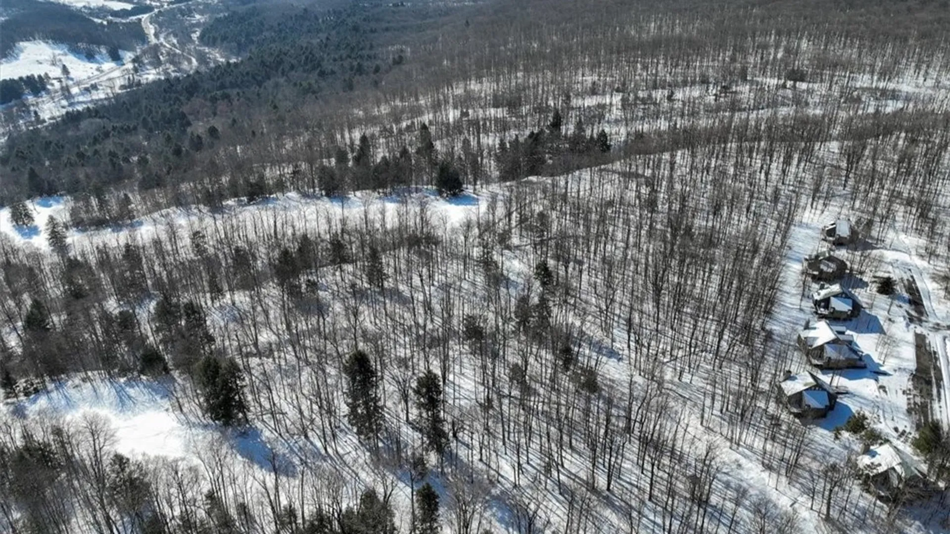 Property at 8820 Abbott Hill Road, Concord, NY 14025 4