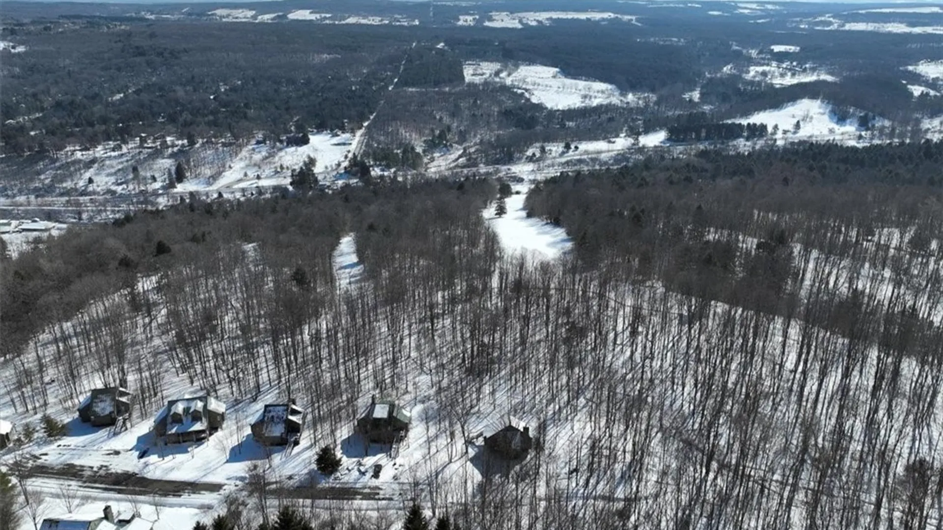 Property at 8820 Abbott Hill Road, Concord, NY 14025 5