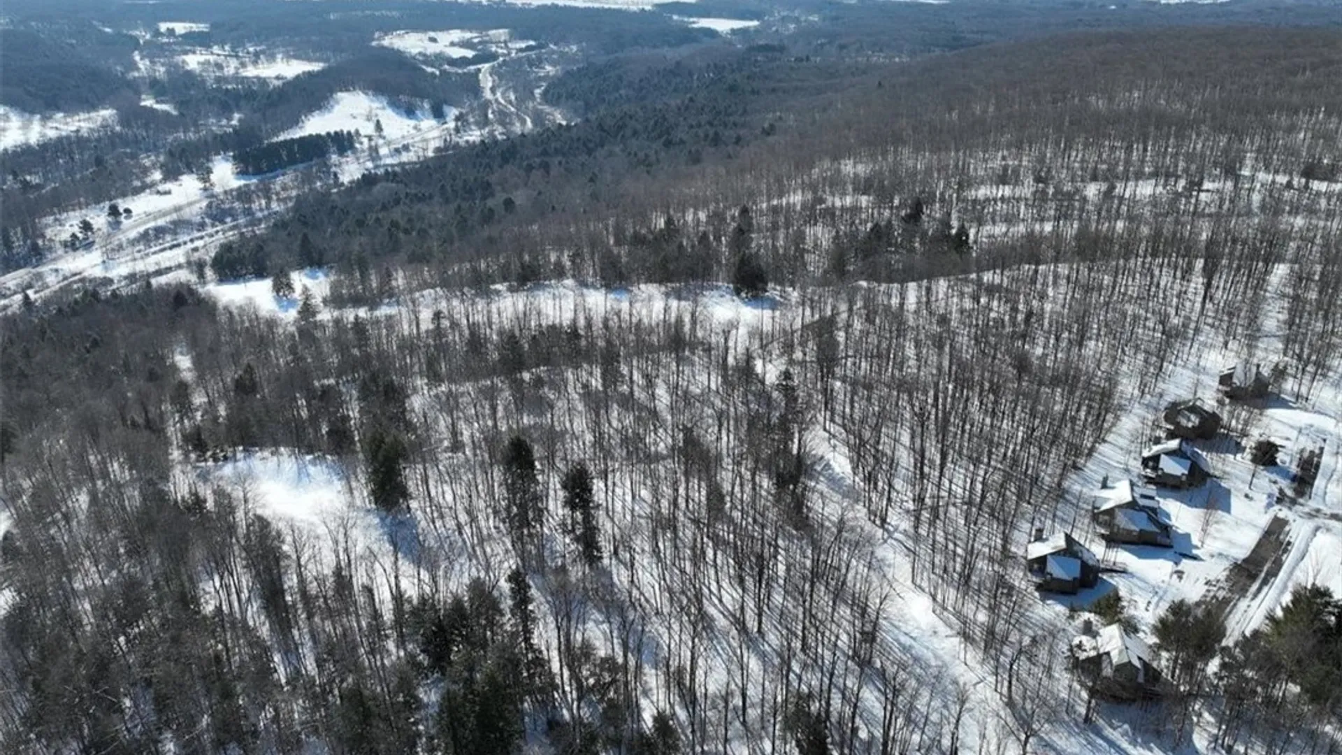 Property at 8820 Abbott Hill Road, Concord, NY 14025 7