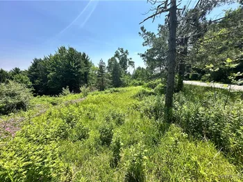 Property at 8385 Lower East Hill, Boston, NY 14025