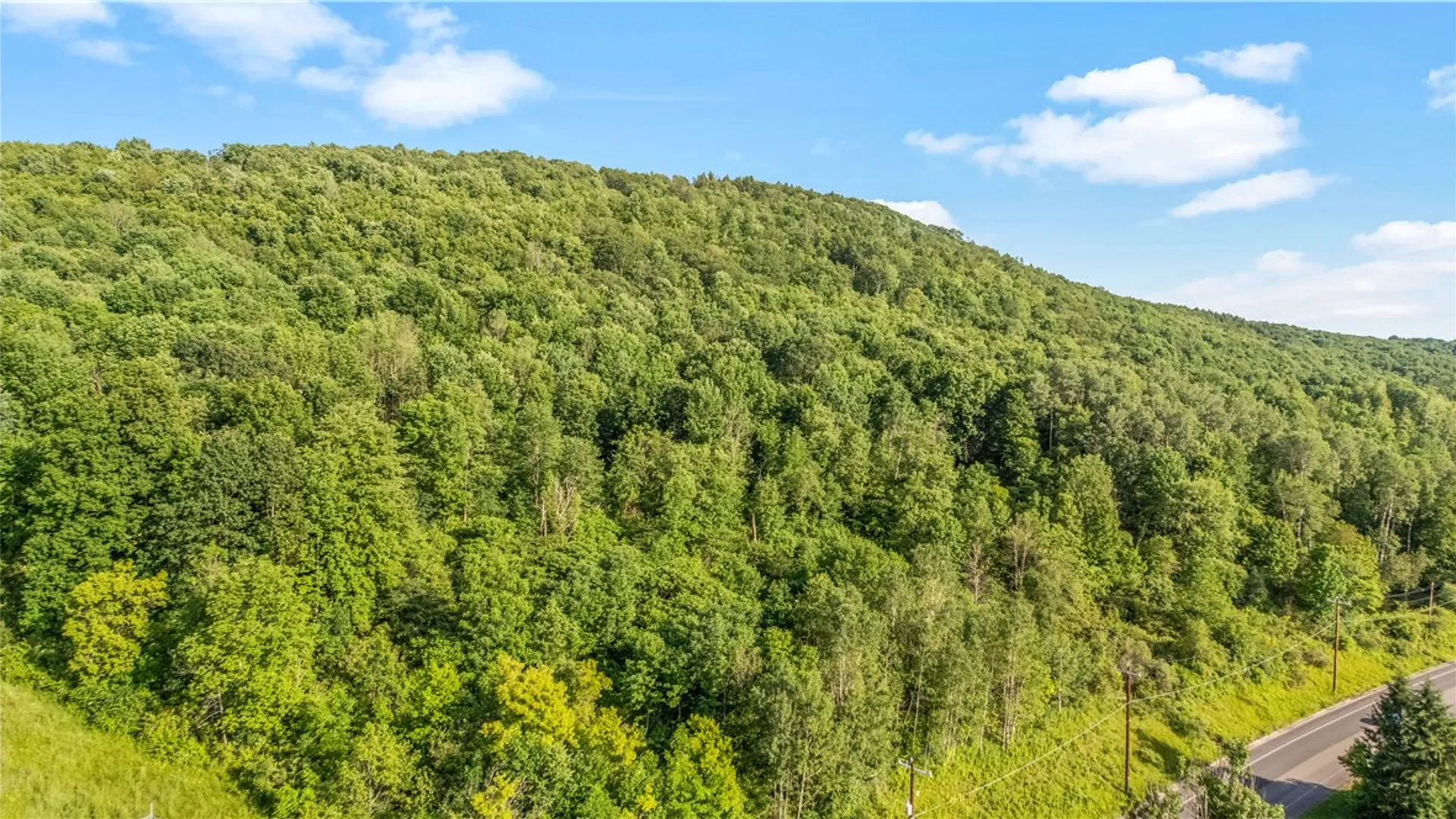 Property at L31.1 County Road 32, Norwich, NY 13815 2