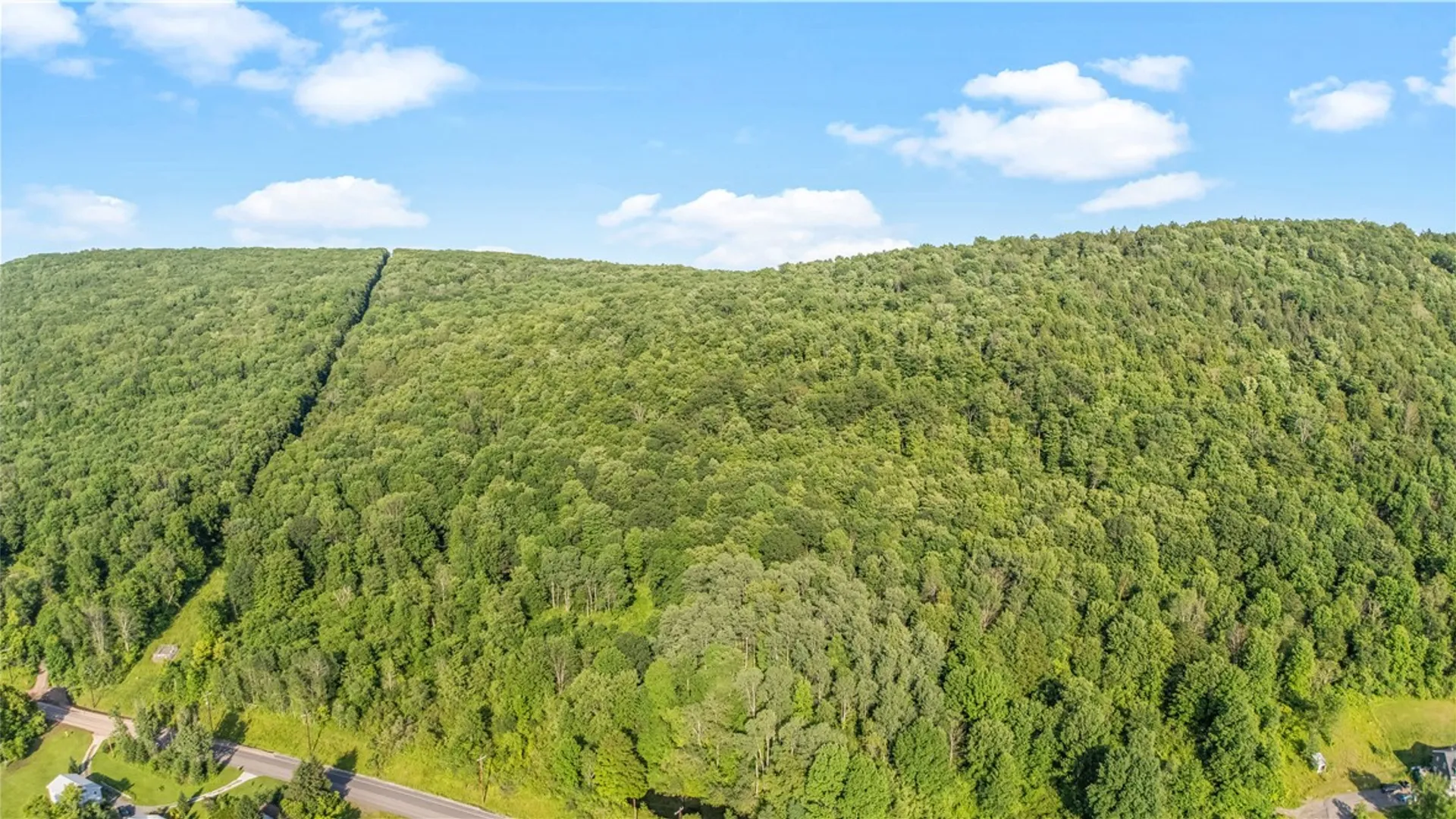 Property at L31.1 County Road 32, Norwich, NY 13815 3