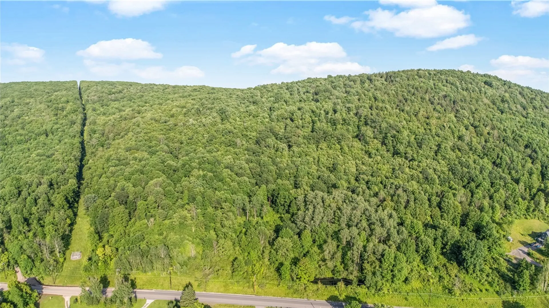 Property at L31.1 County Road 32, Norwich, NY 13815 4