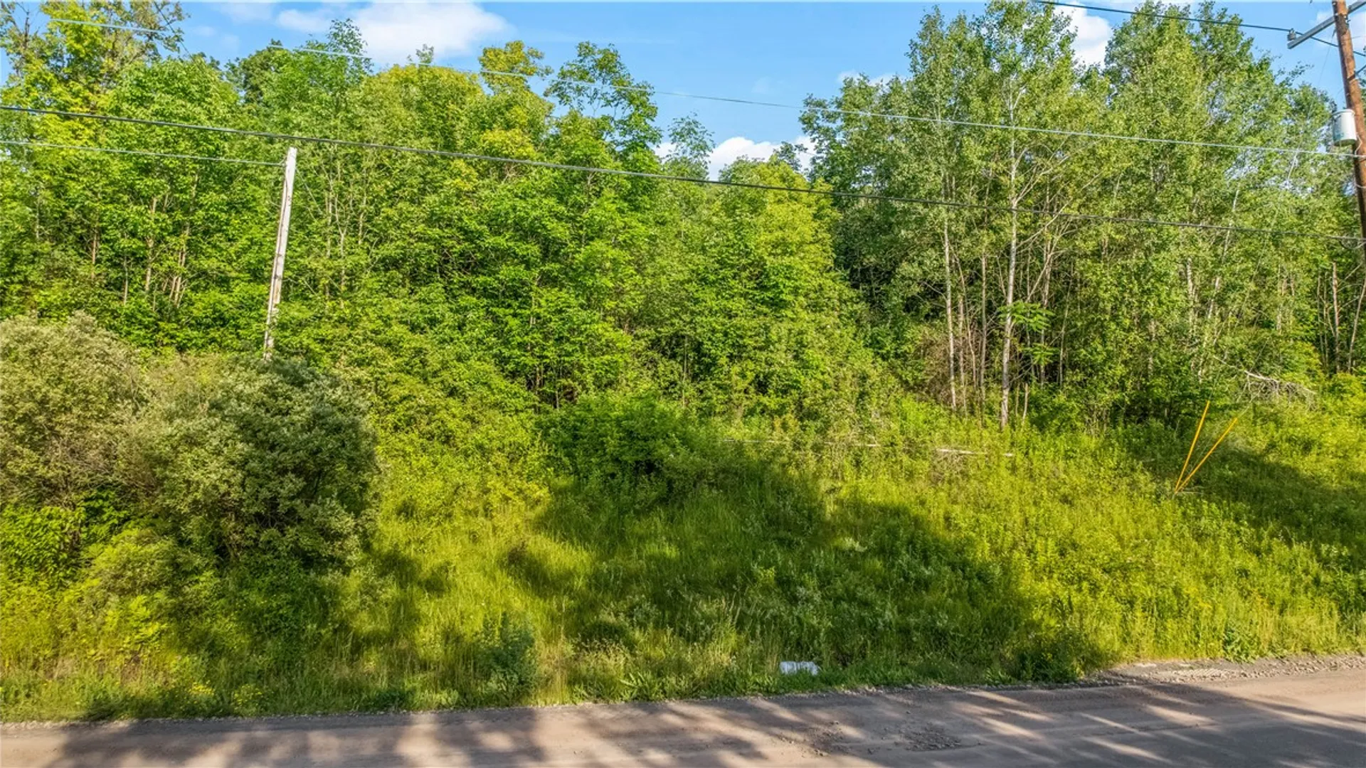 Property at L31.1 County Road 32, Norwich, NY 13815 8