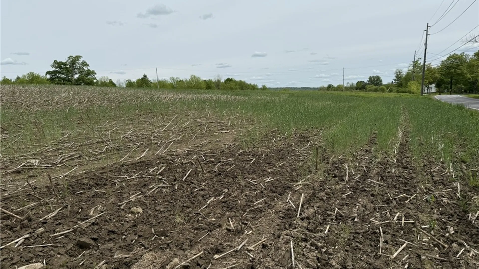 Property at L7.415 County Road 7, Mc Donough, NY 13801 3