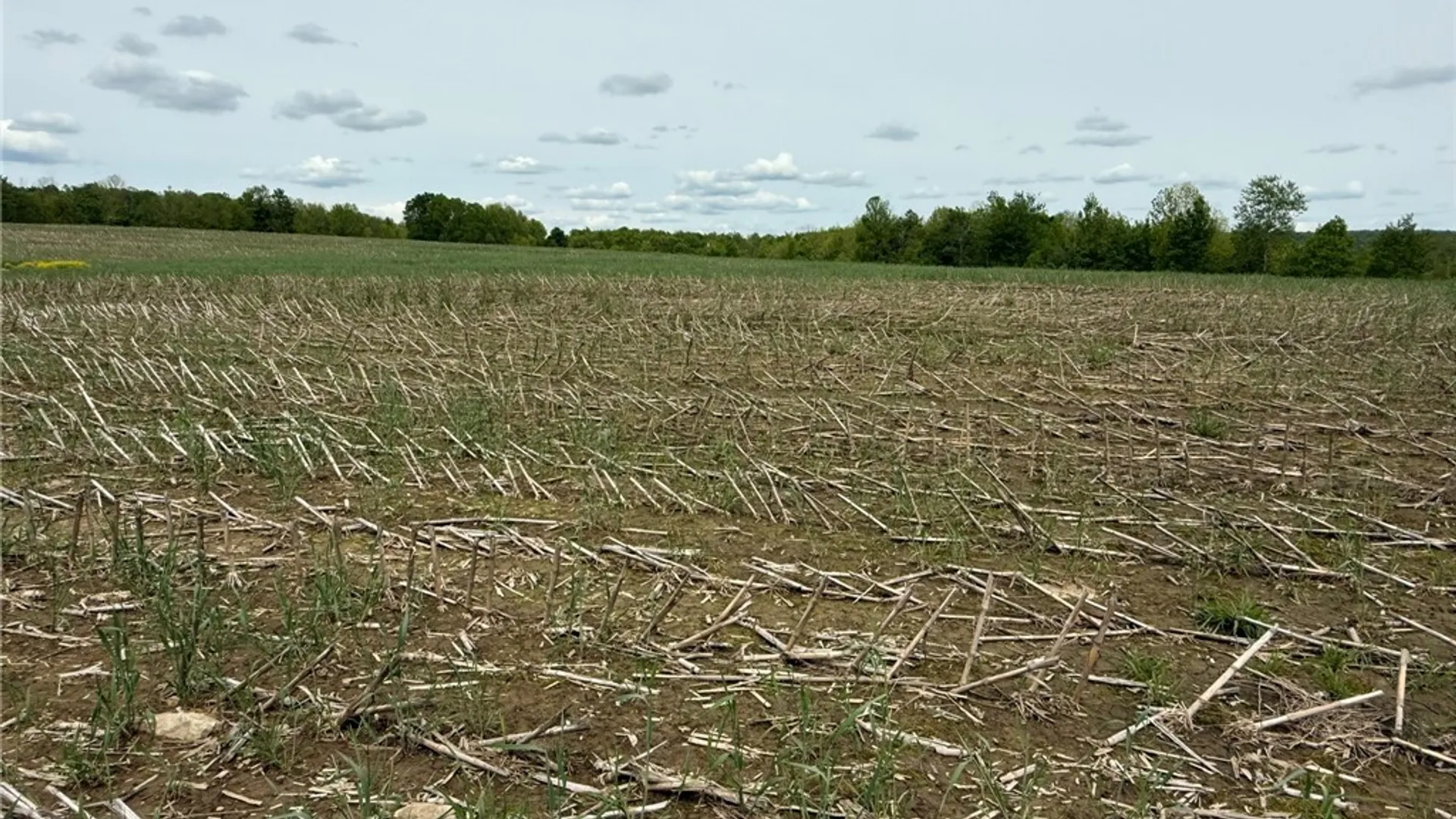 Property at L7.415 County Road 7, Mc Donough, NY 13801 4