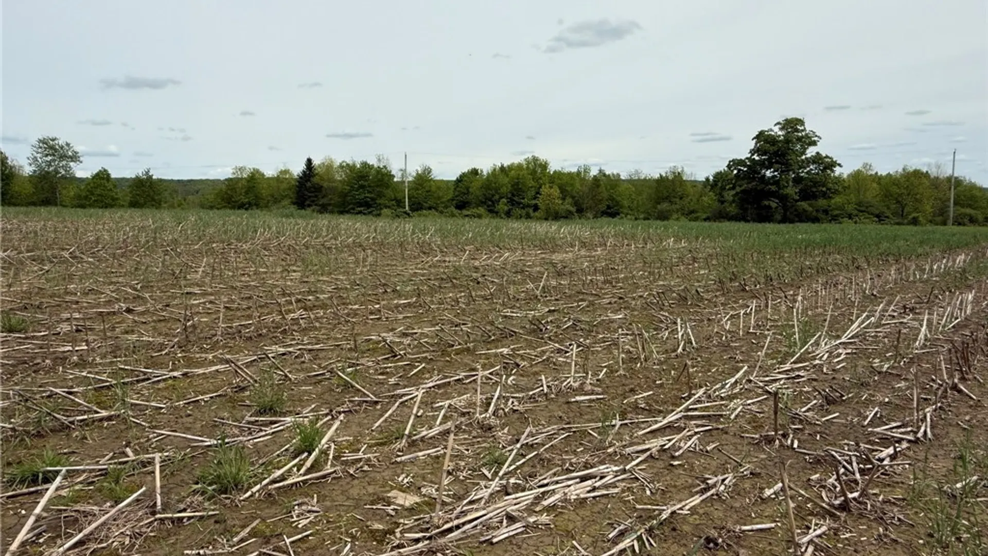 Property at L7.415 County Road 7, Mc Donough, NY 13801 5