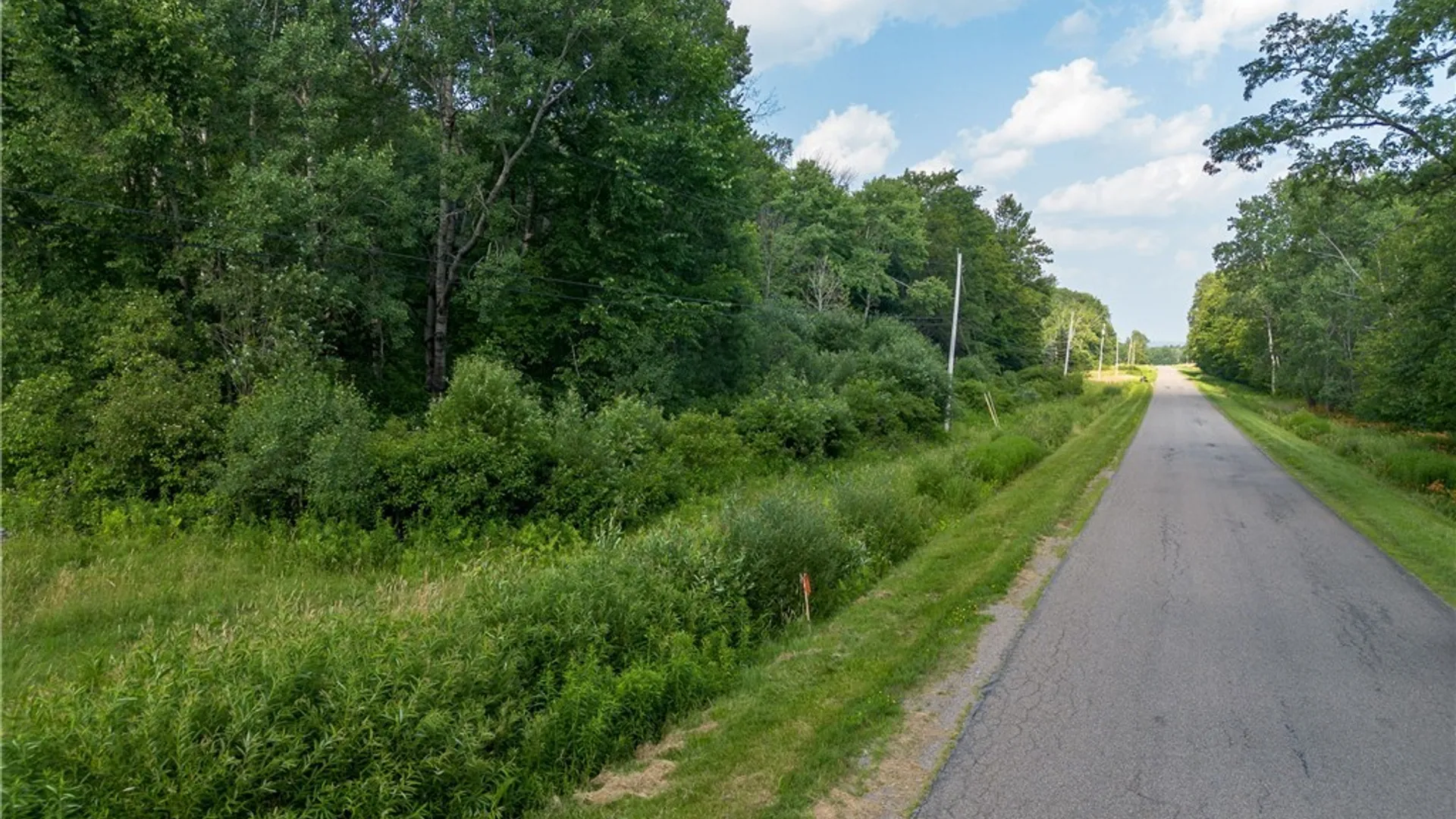 Property at 00 Nutt Road, Busti, NY 14701 5