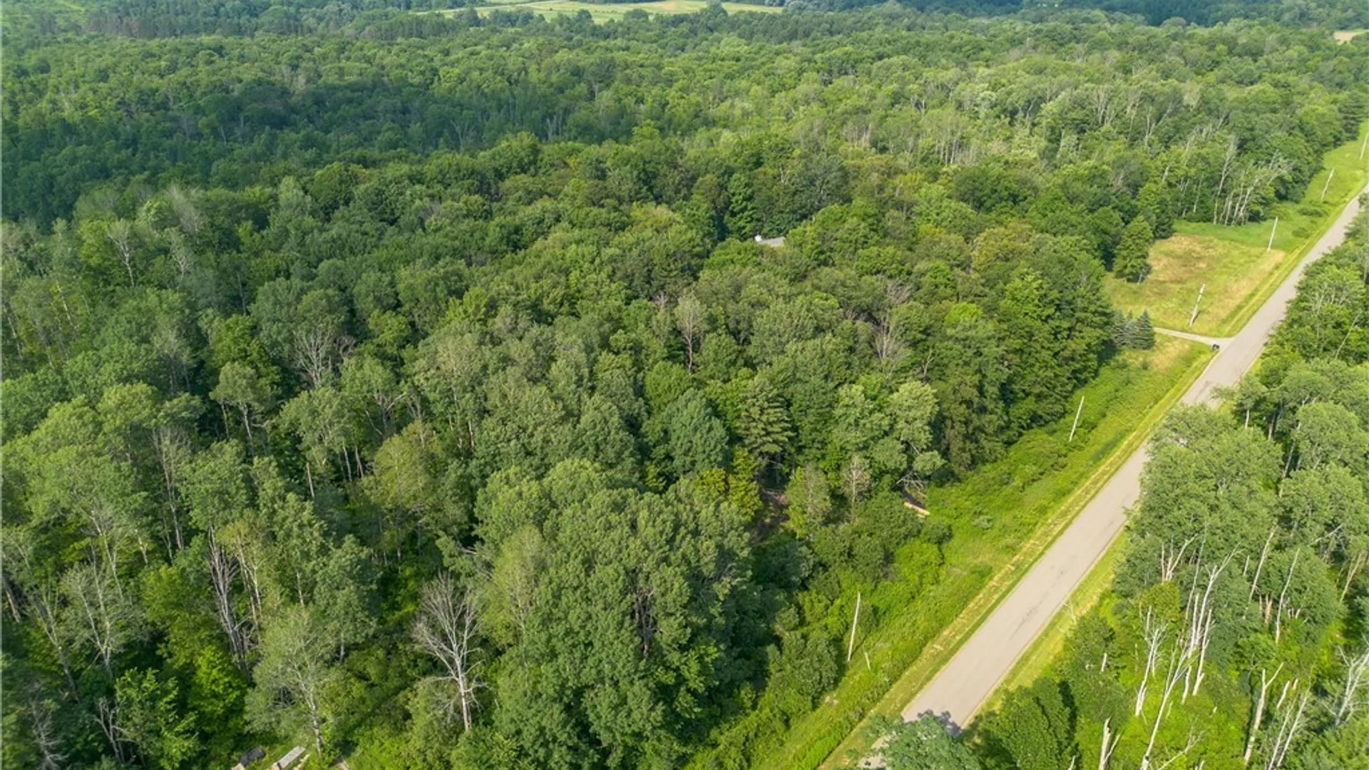 Property at 00 Nutt Road, Busti, NY 14701 6