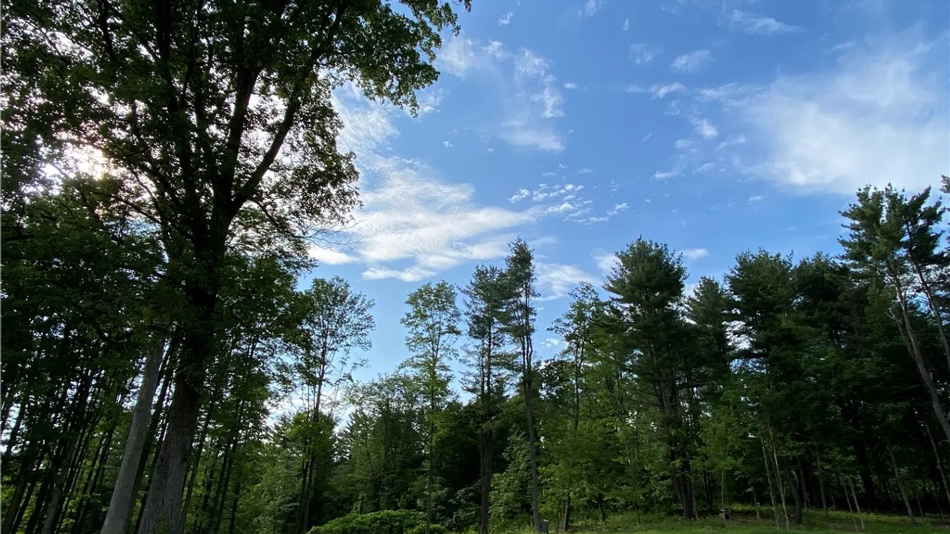 Property at 1229B Middle Road, Veteran, NY 14845 10