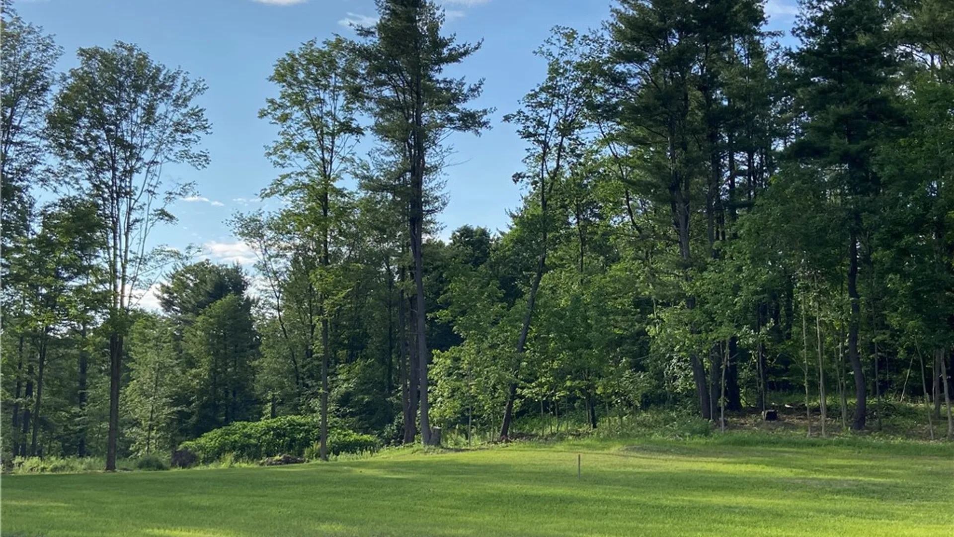 Property at 1229B Middle Road, Veteran, NY 14845 11