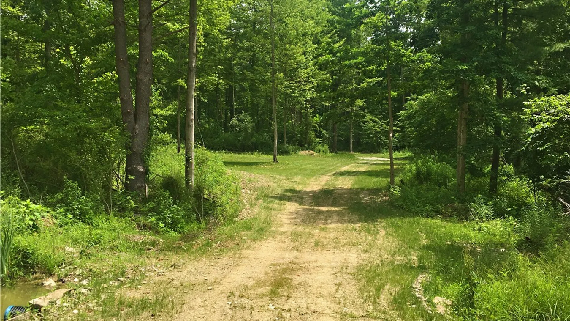 Property at 1229B Middle Road, Veteran, NY 14845 19