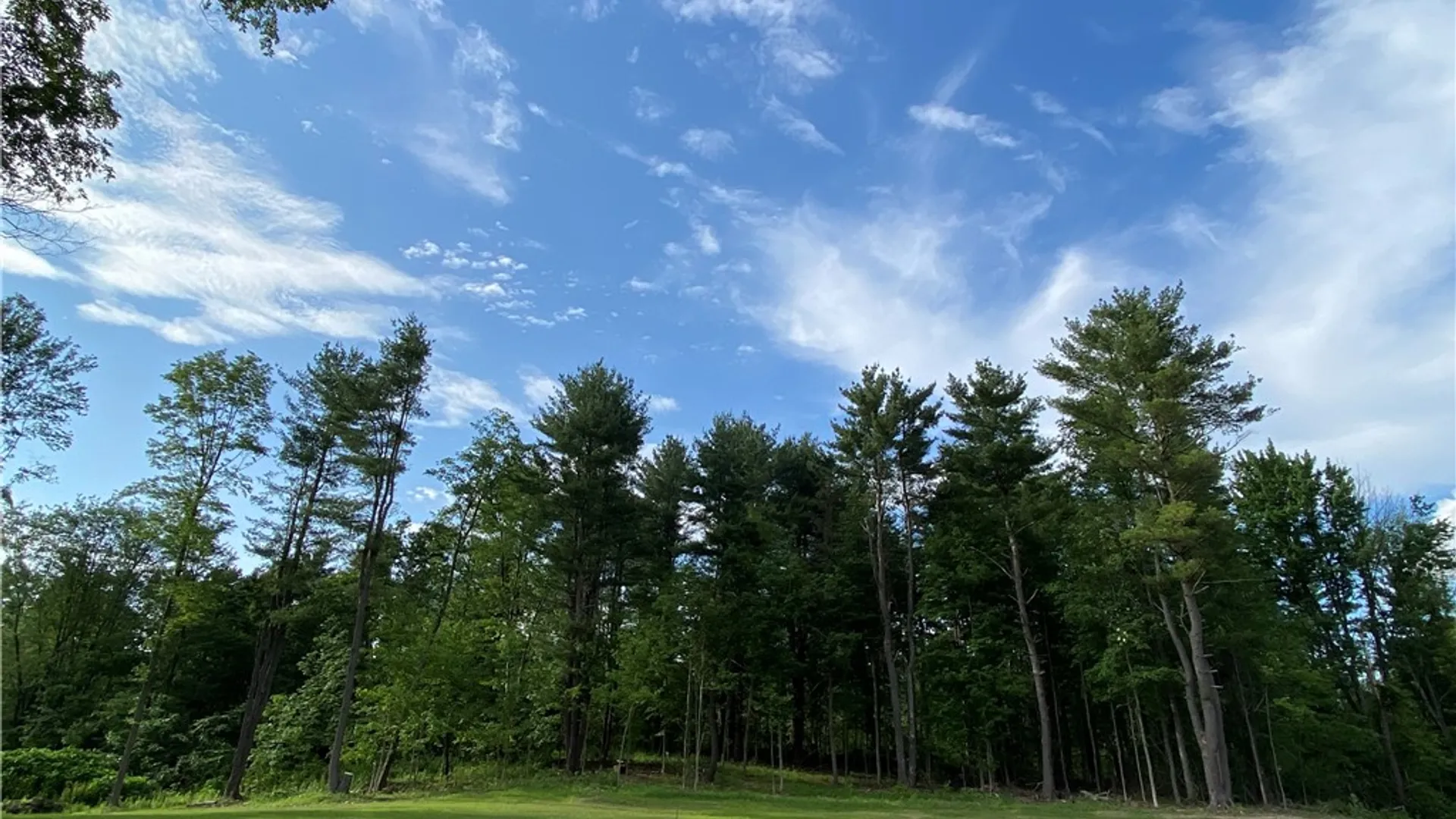 Property at 1229B Middle Road, Veteran, NY 14845 2