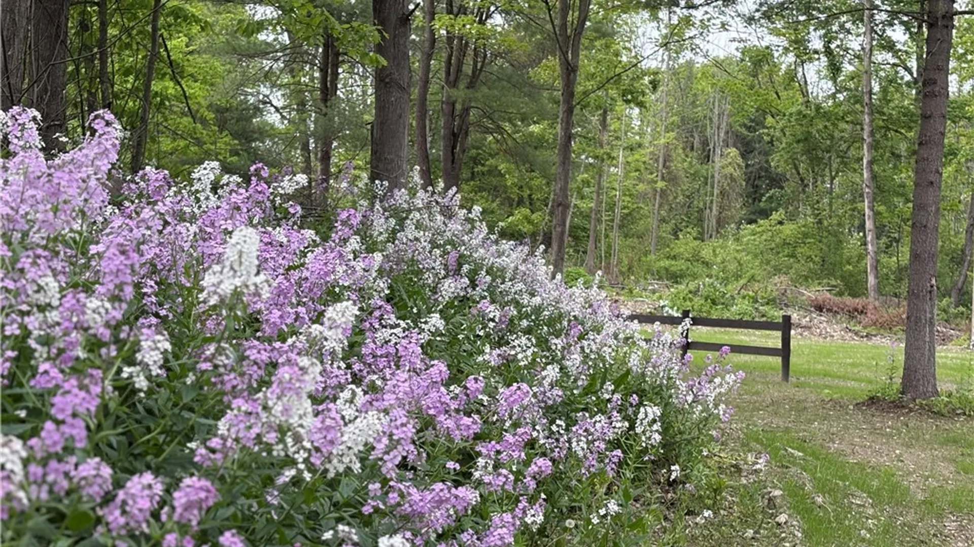 Property at 1229B Middle Road, Veteran, NY 14845 4