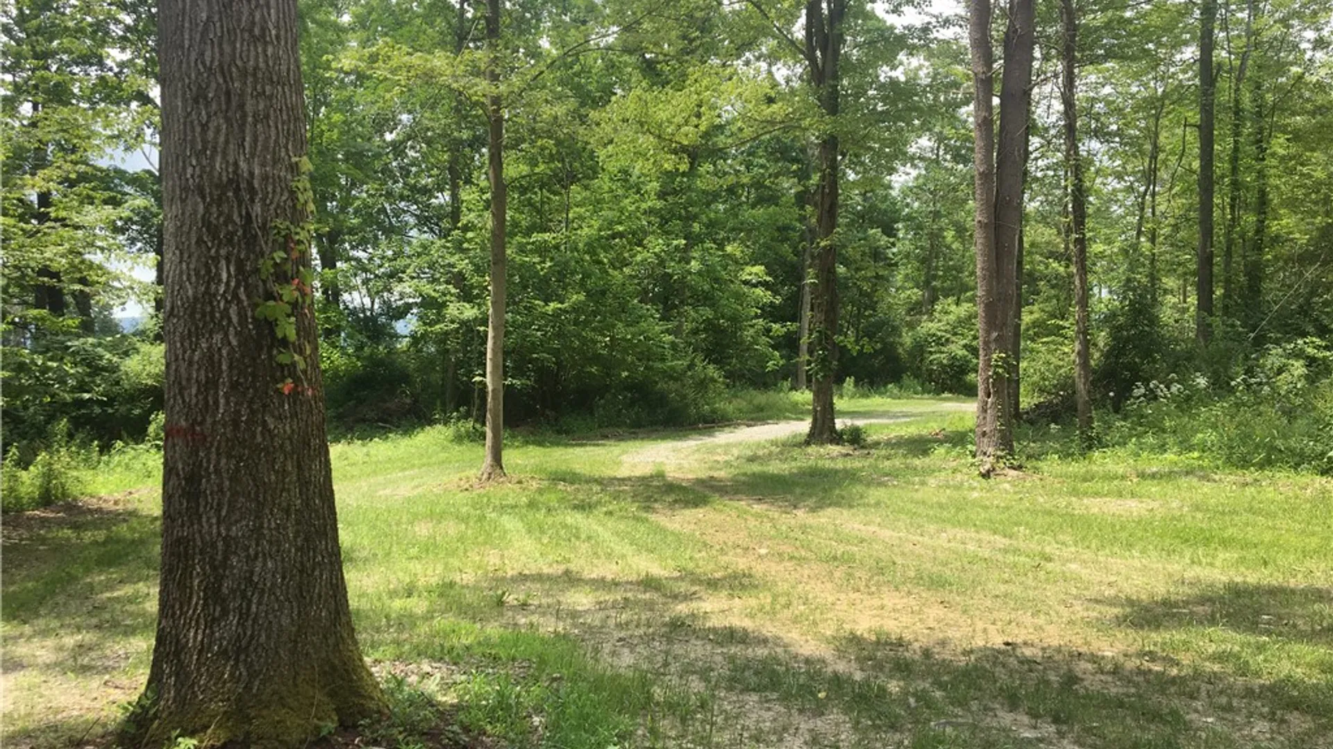 Property at 1229B Middle Road, Veteran, NY 14845 5