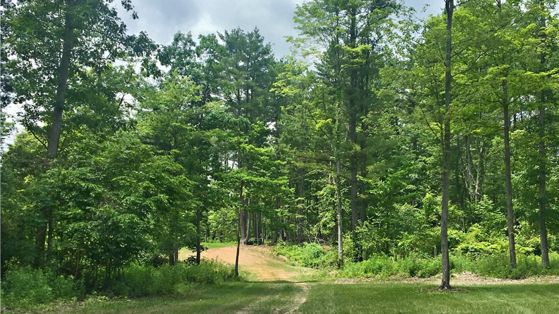 Property at 1229B Middle Road, Veteran, NY 14845 6