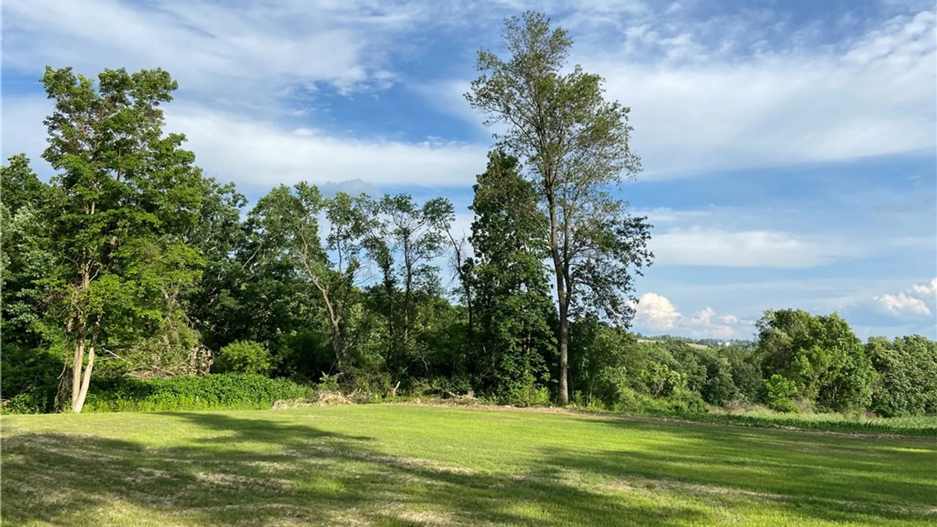 Property at 1229B Middle Road, Veteran, NY 14845 8