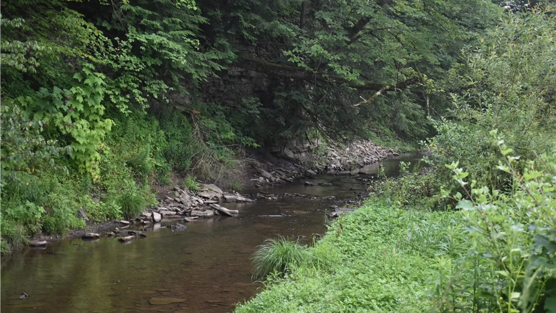 Property at 8787 Route 242, Little Valley, NY 14755 10