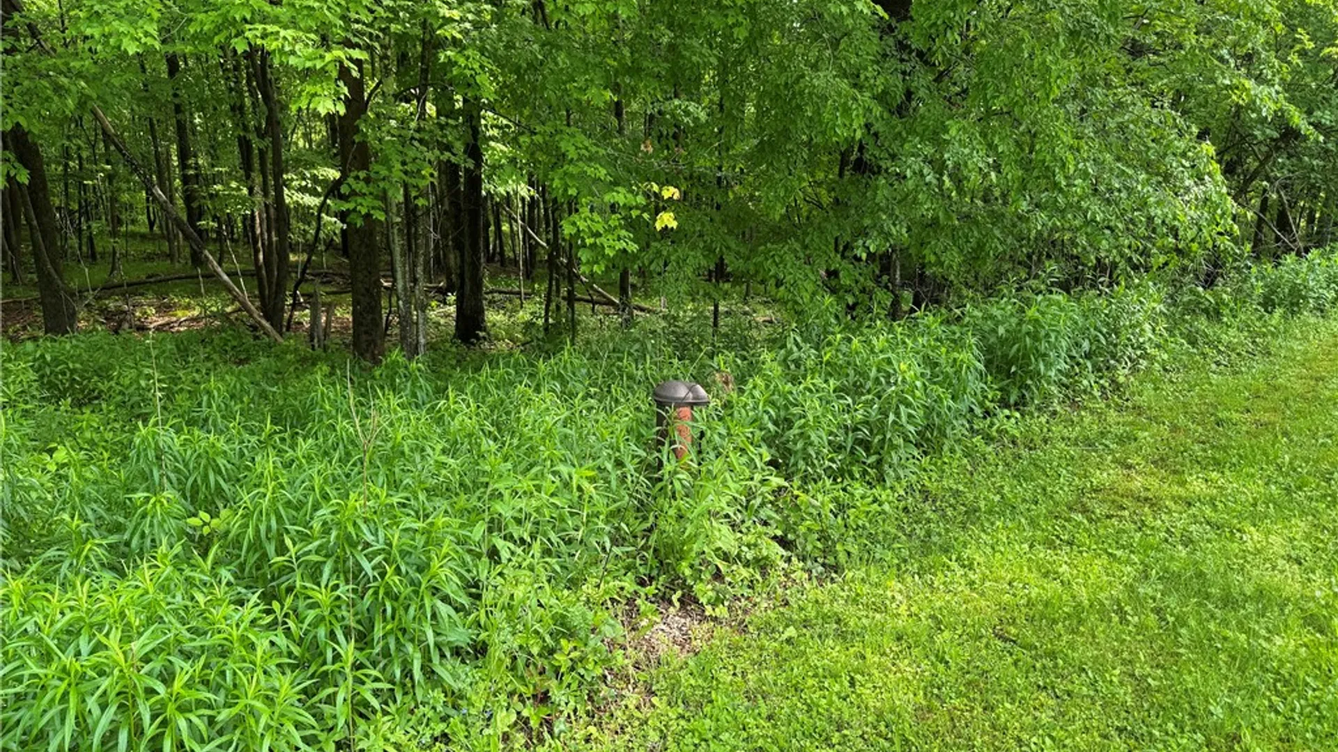 Property at 56 St Michaels Place, Kortright, NY 13842 14