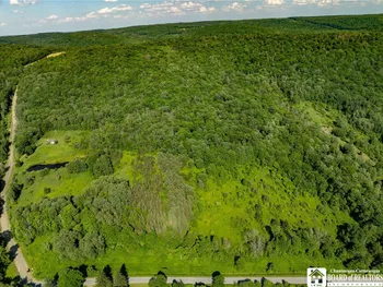 Property at 0 Morgan Hollow Road, Franklinville, NY 14737